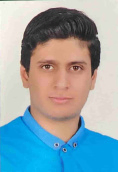 علیرضا وکیلی