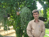 محمدحسین فتوکیان