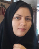 فهیمه حبیبی