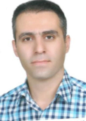 هادی صالحی