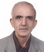 نادر حسن زاده