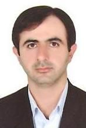 سیدمحمد موسوی گزافرودی