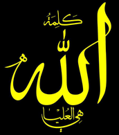 مجید توحیدلو