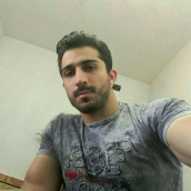 مرتضی صفری