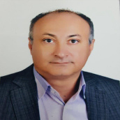 رضا نادری