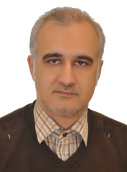 سیدحامد مهنه