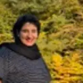 ستایش فردوسیان