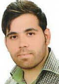 وحید شیخعلی
