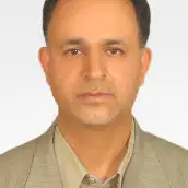محمدرضا محمدی
