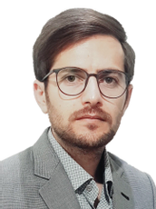 حامد تقی زاده