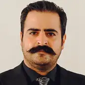 ناصر ابوالحسنی