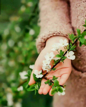 مبینا منصوری اوغاز