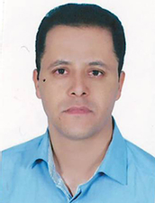محمد حسین زارع