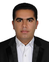 هادی حیدری
