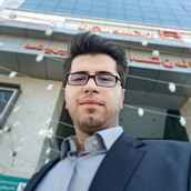 پویا دامادی