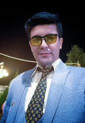 محمد کرمی