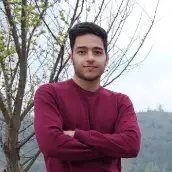 سینا تقی پور نقشی