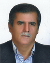 مسعود اربابی