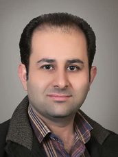 حامد صادقی
