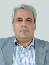 سید جواد امامی