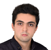 سید مهدی جغتائی