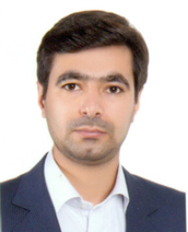 علیرضا ربی