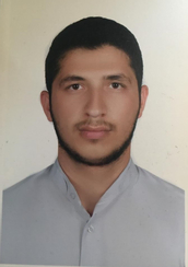 سید امیر ارفعی زرندی