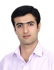محمد ربیعی