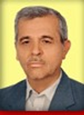 شمس الدین میردامادی