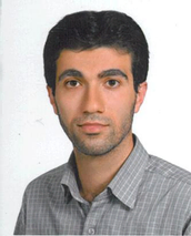 مهدی رئیسی
