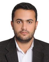 سیدامیرحسین پارسا