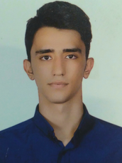 میرماهان موسوی نژاد