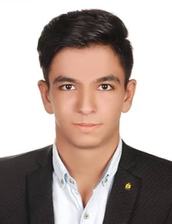 رضا محسنی افخم