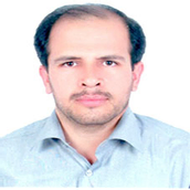 علی گلی