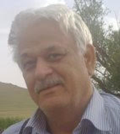 حمید امانلو