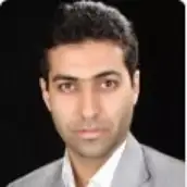 مجتبی فاتحی پیکانی