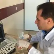 آرش خردمند