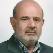 سیدمجتبی میرزائی