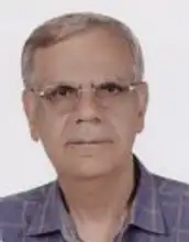حسن روحی پور