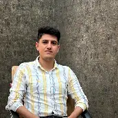 شاهین میرزاده