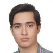 سید محمد جواد حسنی