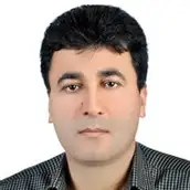 هیوا ویسی
