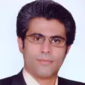 مجتبی موحدی