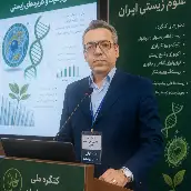 مجتبی بوشهری