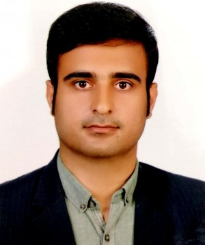 هادی بلوکی پورساحلی