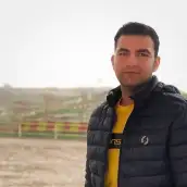 امیر محمد عابدی