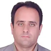 مجید سلیمانی دامنه