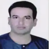 عارف محمدی