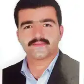 فرزین پیره