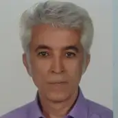 بهروز الیاسی